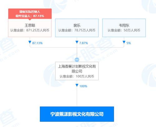 王思聰影視新公司成立，注冊(cè)資本100萬引關(guān)注，網(wǎng)友呼吁簽下孫一寧